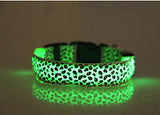 Khloe's LED Colorful Collar