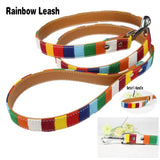 Khloe's Rainbow Leather Leash