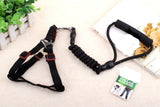 Khloe's - Adjustable Nylon Harness And leash Set, Vest Rope For Small Dogs