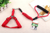 Khloe's - Adjustable Nylon Harness And leash Set, Vest Rope For Small Dogs