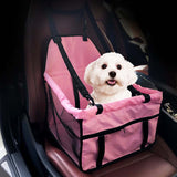 Khloe's Safety First Car Carrier