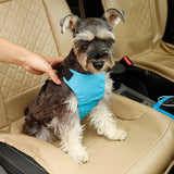 Khloe's Car Safety Seat Belt Harness