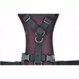 Khloe's Car Safety Seat Belt Harness