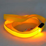Khloe's LED Light Up Dog Leash