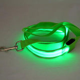 Khloe's LED Light Up Dog Leash