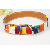Khloe's Rainbow Leather Collar