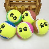 Khloe's Fetch Tennis Balls 6.5cm