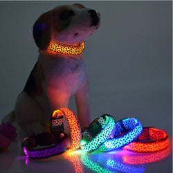 Khloe's LED Colorful Collar